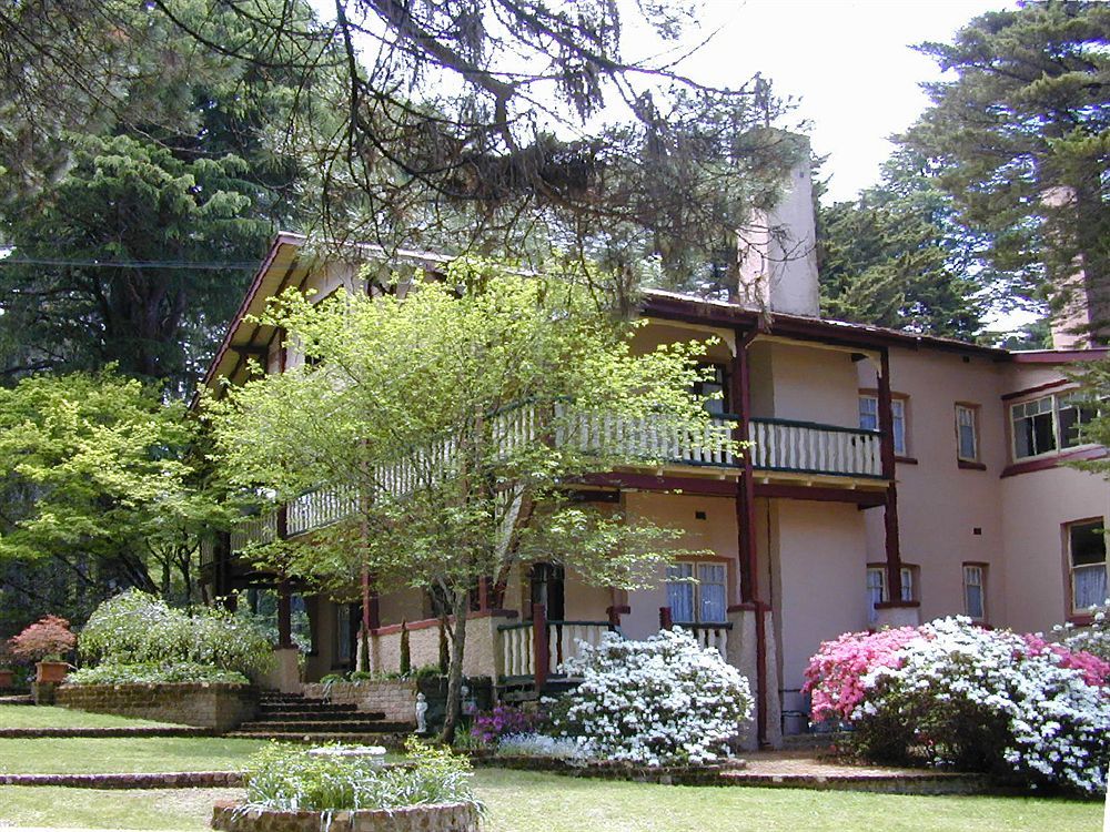 Whispering Pines Cottages Wentworth Falls Dış mekan fotoğraf