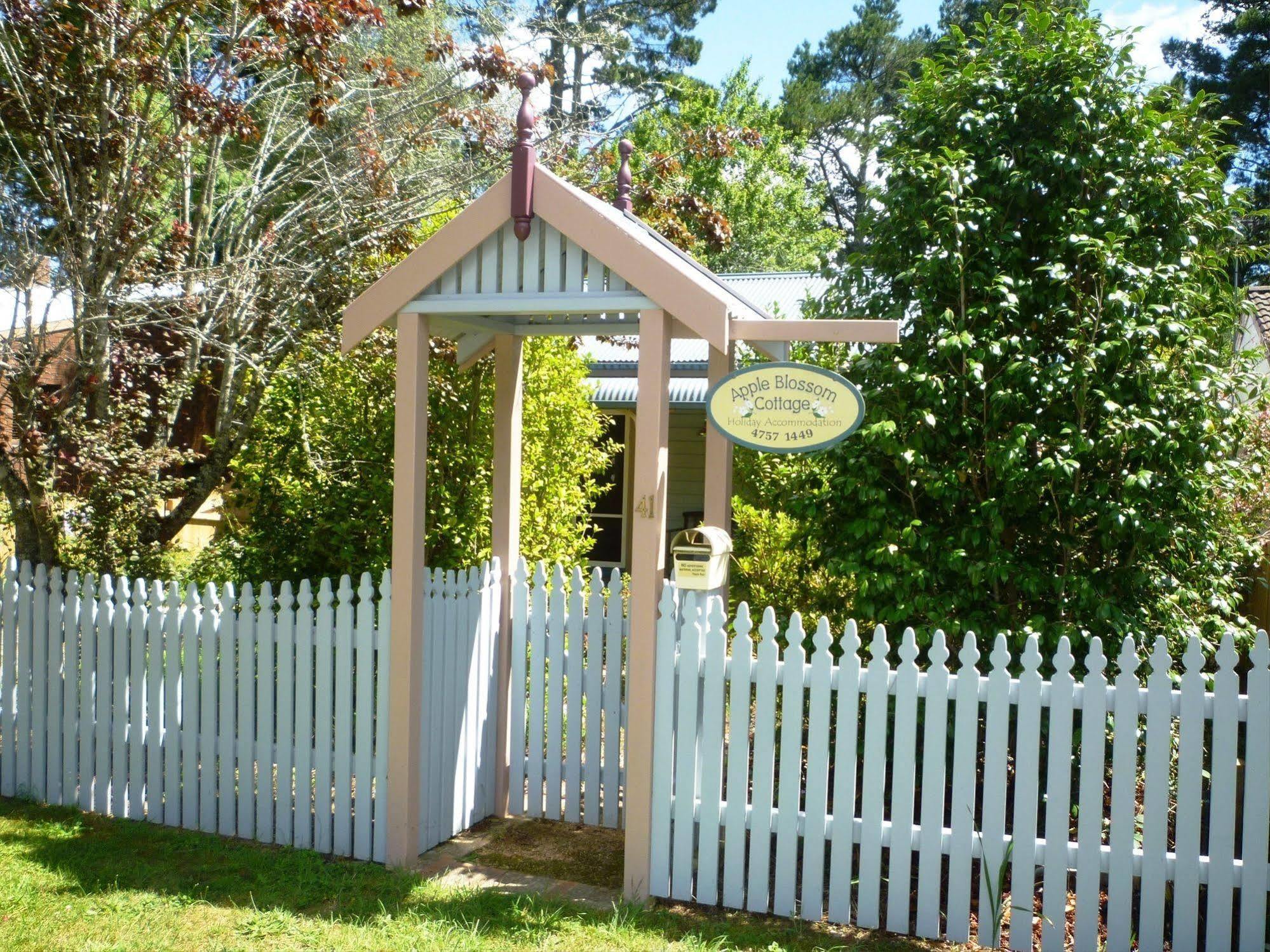 Whispering Pines Cottages Wentworth Falls Dış mekan fotoğraf